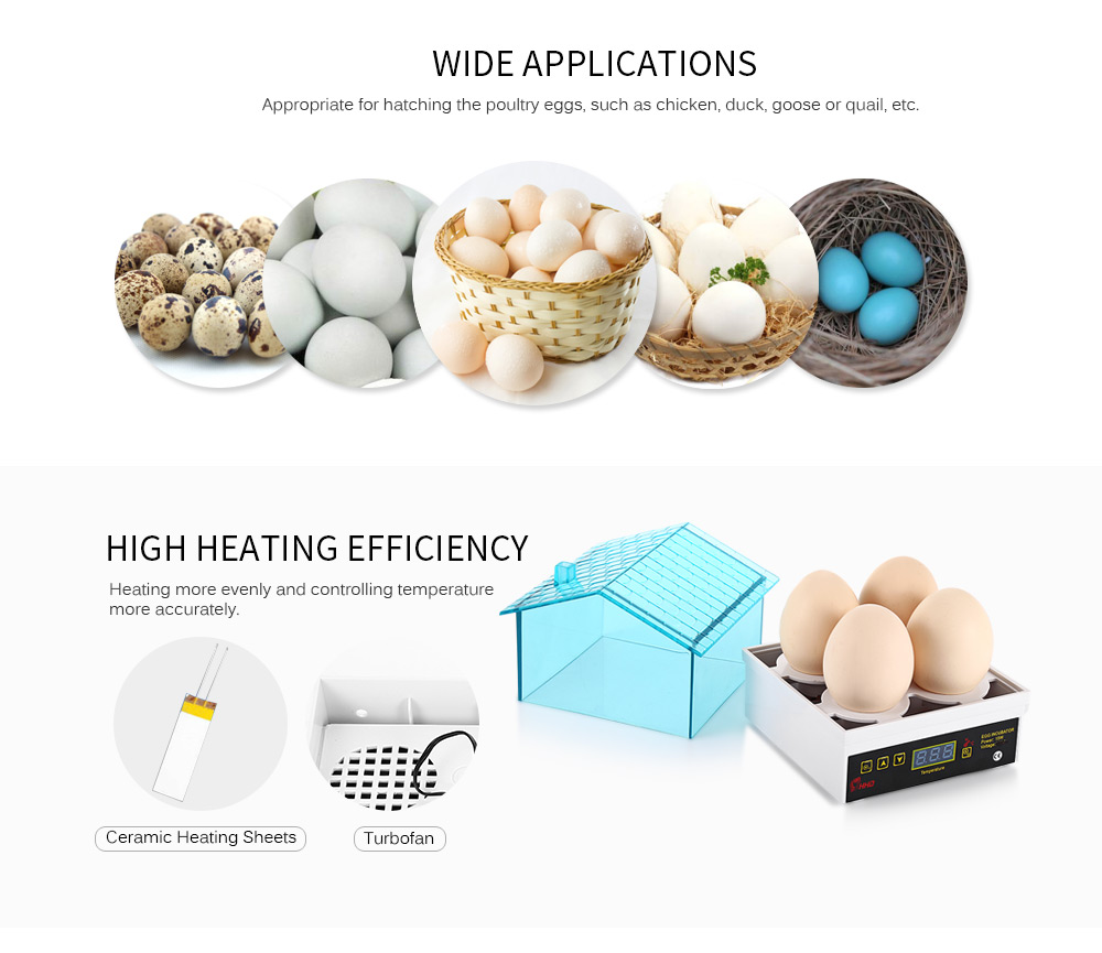 HHD YZ9 - 4 Mini Electric Digital 4 - Egg Incubator Thermostat House for Chickens Ducks Gooses Birds HHD YZ9 - 4 Mini Electric Digital 4 - Egg Incubator Thermostat House for Chickens Ducks Gooses Birds