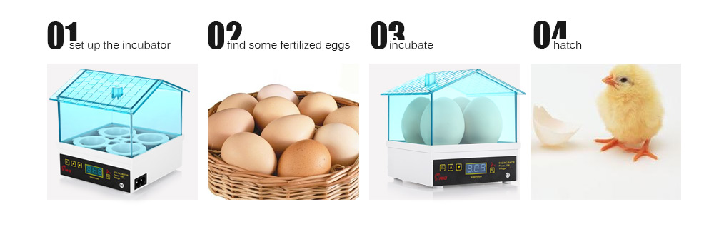 HHD YZ9 - 4 Mini Electric Digital 4 - Egg Incubator Thermostat House for Chickens Ducks Gooses Birds HHD YZ9 - 4 Mini Electric Digital 4 - Egg Incubator Thermostat House for Chickens Ducks Gooses Birds