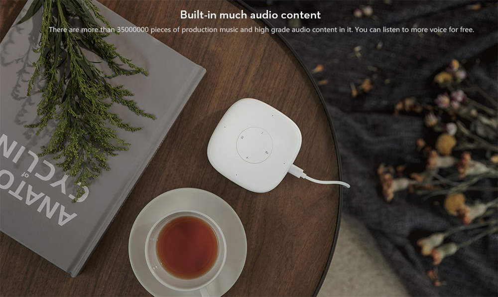 Xiaomi Mi Al Mini Intelligent Speaker 