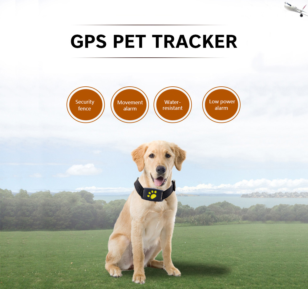 Z8 - A Pet Tracker GPS Dog / Cat Collar Water-resistant USB Charging