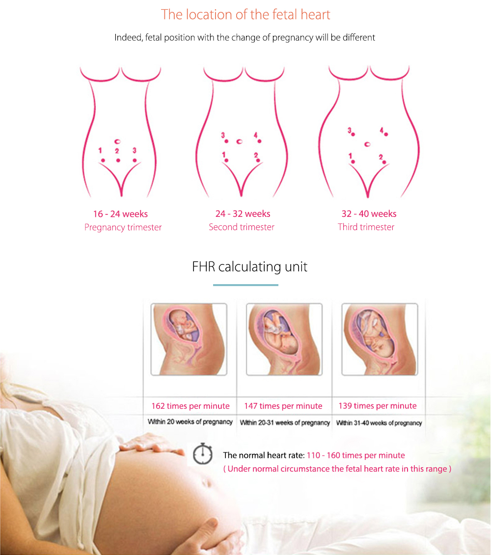 ACurio AF - 706 - L Pregnant Ultrasonic Fetal Doppler Prenatal Heart Rate Monitor