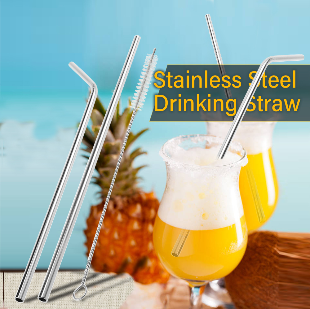 Stainless Steel Drinking Straw with Cleaning Brush